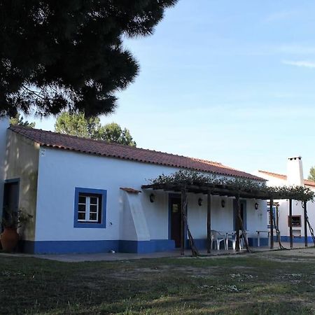 Casa Do Pinheiro Vila Alcácer do Sal Exterior foto